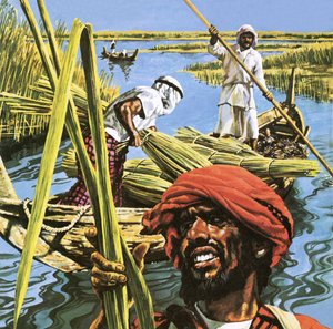 Les hommes des marais du sud de l