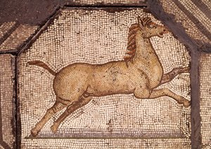 Un Cheval, détail d