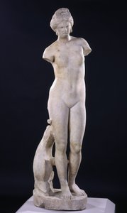 Aphrodite de Cyrène - Roman