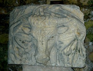 Tête de Taureau - Roman