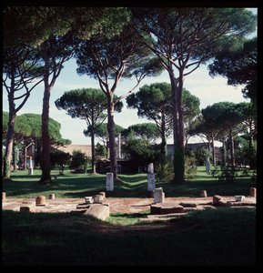 Art romain : vue des ruines du macellum (Place du Marché) site archéologique d