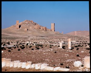 Vue des tours-tombes de Iamblichus et Elahbel