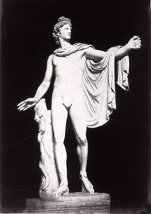 Apollon du Belvédère, copie d