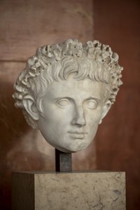 Tête de l