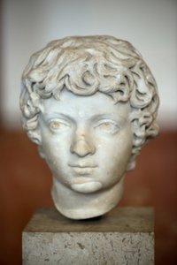 Tête de l