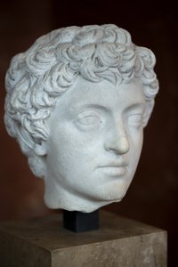 Tête de l