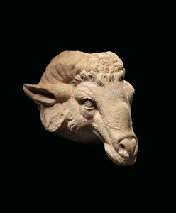 Tête de bélier, c.1er siècle av. J.-C. - 1er siècle apr. J.-C. - Roman Roman