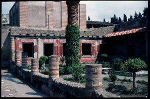 Le jardin de la casa dell