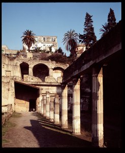 Vue de la palestre - Roman Roman
