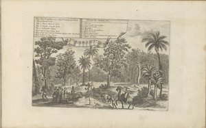 Arbres et épices - Romeyn de Hooghe