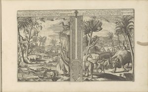 Animaux des Indes occidentales - Romeyn de Hooghe