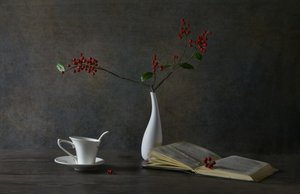 Nature morte « Lecture douillette » - Rong Wei