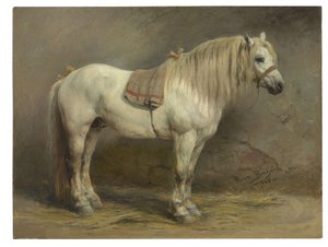 Un cheval blanc - Rosa Bonheur