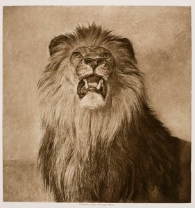  - Rosa Bonheur