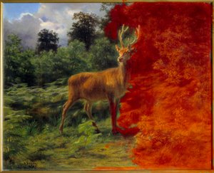 Cerf écoutant le vent