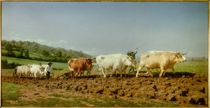 Le labourage nivernais, le sombrage - Rosa Bonheur