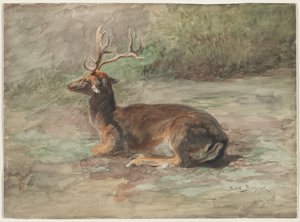 Cerf couché, seconde moitié du XIXe siècle