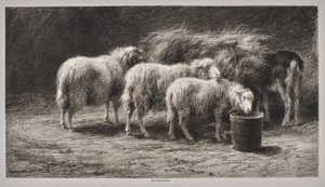  - Rosa Bonheur