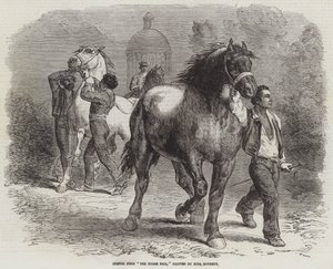 Esquisse de La Foire aux Chevaux - Rosa Bonheur