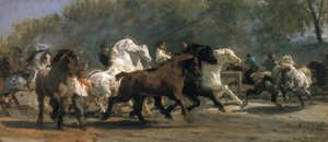 Étude pour le Marché aux Chevaux, 1852-54