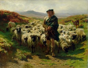 Le Berger des Highlands, 1859 - Rosa Bonheur