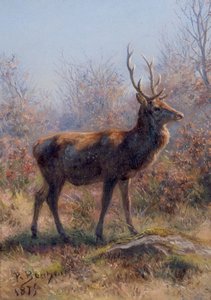 Le Cerf - Rosa Bonheur