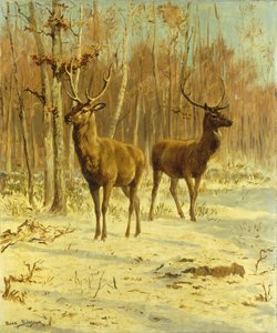Deux Cerfs dans une Clairière en Hiver - Rosa Bonheur
