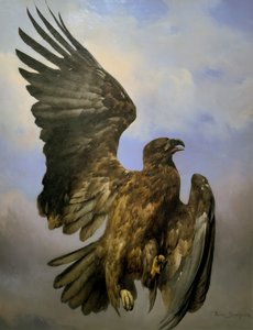 Image Inconnue - Rosa Bonheur