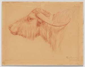  - Rosa Bonheur