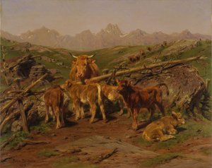 Sevrage des veaux, 1879