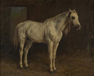 Cheval blanc - Rosa Bonheur