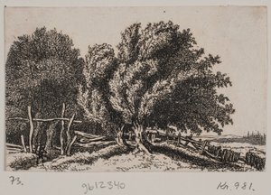 Paysage - Rosalie Holm