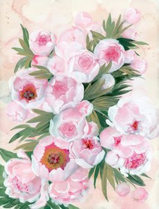 Fleurs de pivoine aux teintes rosées - Rosana Laiz Blursbyai