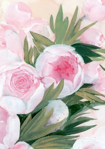 Fleurs de pivoine roses - Rosana Laiz Blursbyai