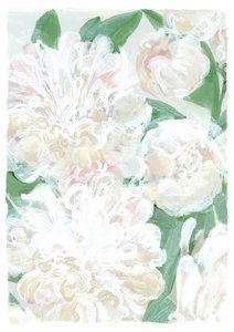 Pivoines blanches délicates - Rosana Laiz Blursbyai