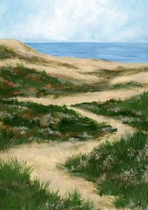 Sentier sinueux dans les dunes