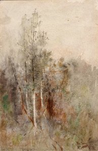 Une étude sur les arbres
