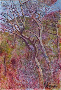 Paysage, Studio, vers 1907