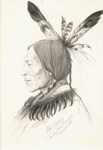 Heu-Topa, Quatre Cornes ou Jagoo, Le Conteur, Chef des Hunkpapa Sioux - Rudolf Cronau