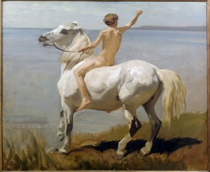 Garçon sur un cheval blanc