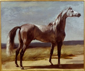 Cheval dans un paysage