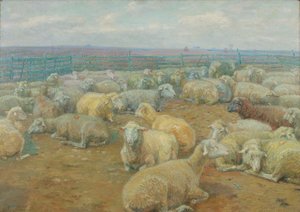 Parc à moutons - Rudolf Konopa