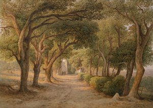 Castel Gandolfo - Rudolf Müller