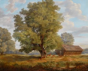 Cerfs dans la Praterau - Rudolf Swoboda