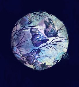 Nuit d