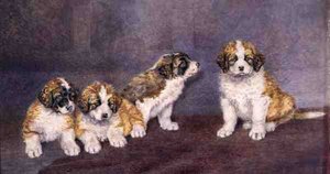Conseil de Chiots - Rupert Arthur Dent