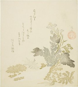 Un radis géant (daikon), chrysanthèmes et fougères - Ryuryukyo Shinsai