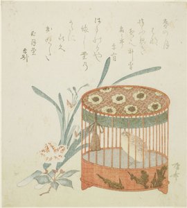 Cage à oiseaux et fleurs