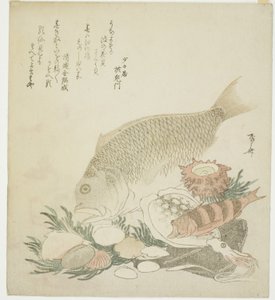 Poissons et coquillages - Ryuryukyo Shinsai