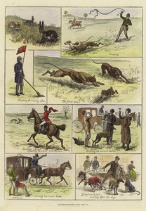 Courses de lévriers